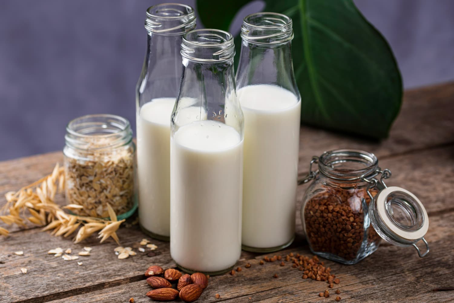 Lactose-Free Recipes