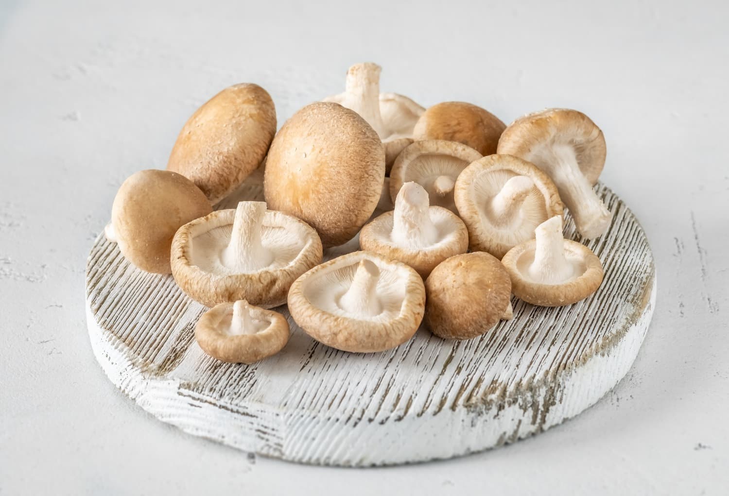 Shiitake Mantarı: Lezzetli ve Sağlıklı Bir Keşif